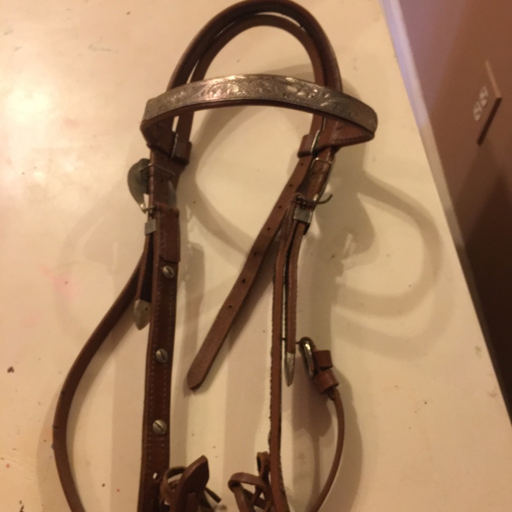 ***SOLD SOLD SOLD** Western Starter Show Headstall